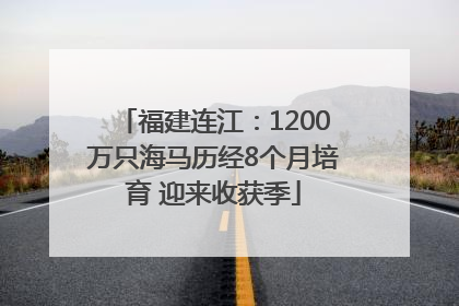 福建连江：1200万只海马历经8个月培育 迎来收获季