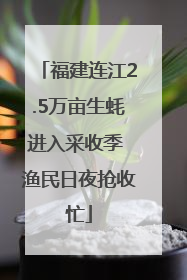 福建连江2.5万亩生蚝进入采收季 渔民日夜抢收忙
