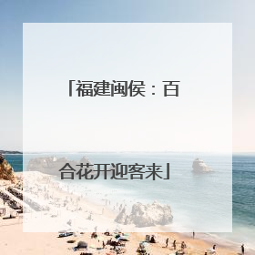 福建闽侯：百合花开迎客来
