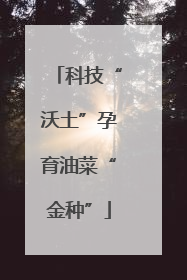 科技“沃土”孕育油菜“金种”
