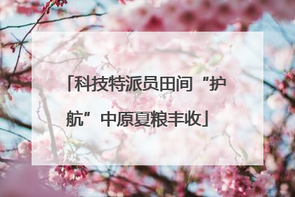 科技特派员田间“护航”中原夏粮丰收