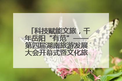 科技赋能文旅，千年岳阳“有范”——第四届湖南旅游发展大会开幕式暨文化旅游推介会侧记