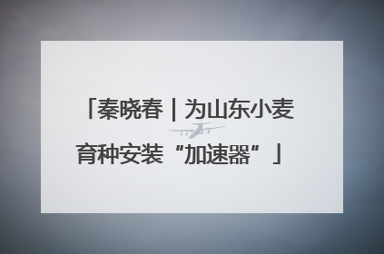 秦晓春｜为山东小麦育种安装“加速器”