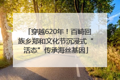 穿越620年！百崎回族乡郑和文化节沉浸式“活态”传承海丝基因