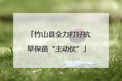 竹山县全力打好抗旱保苗“主动仗”