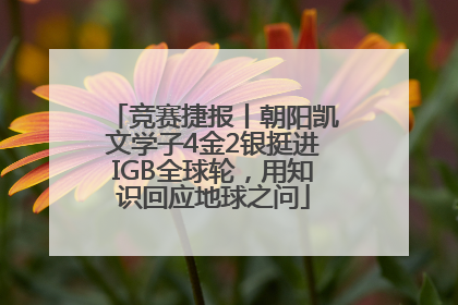 竞赛捷报丨朝阳凯文学子4金2银挺进IGB全球轮，用知识回应地球之问