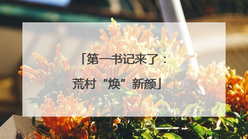 第一书记来了：荒村“焕”新颜