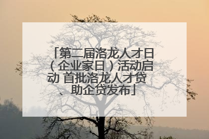 第二届洛龙人才日（企业家日）活动启动 首批洛龙人才贷、助企贷发布