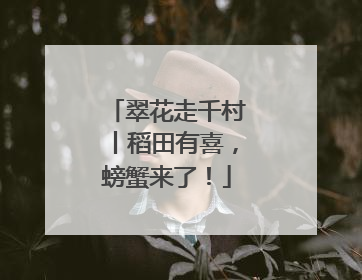 翠花走千村丨稻田有喜，螃蟹来了！