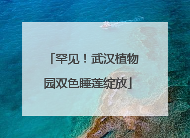 罕见！武汉植物园双色睡莲绽放