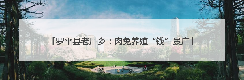 罗平县老厂乡：肉兔养殖“钱”景广