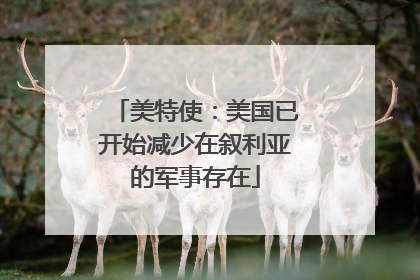 美特使：美国已开始减少在叙利亚的军事存在