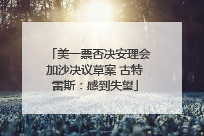 美一票否决安理会加沙决议草案 古特雷斯：感到失望