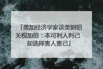 美加经济学家谈美钢铝关税加倍：本可利人利己 却选择害人害己