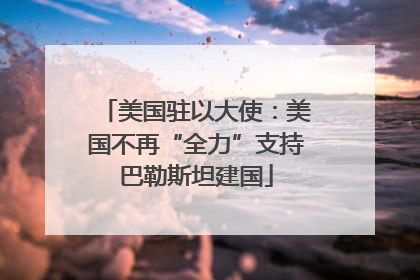 美国驻以大使：美国不再“全力”支持巴勒斯坦建国