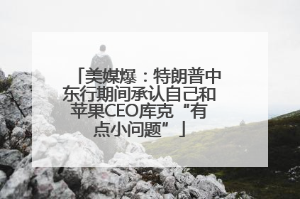 美媒爆：特朗普中东行期间承认自己和苹果CEO库克“有点小问题”