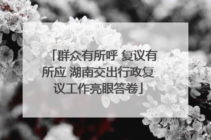 群众有所呼 复议有所应 湖南交出行政复议工作亮眼答卷