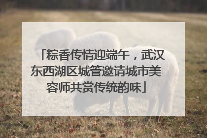 粽香传情迎端午，武汉东西湖区城管邀请城市美容师共赏传统韵味