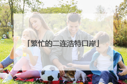 繁忙的二连浩特口岸