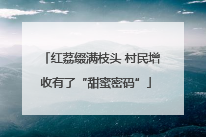 红荔缀满枝头 村民增收有了“甜蜜密码”