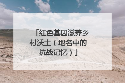 红色基因滋养乡村沃土（地名中的抗战记忆）