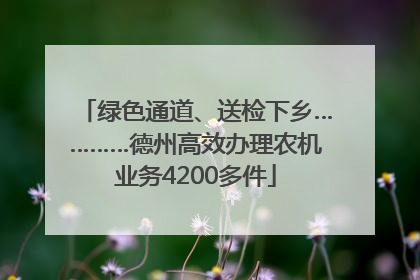 绿色通道、送检下乡…………德州高效办理农机业务4200多件