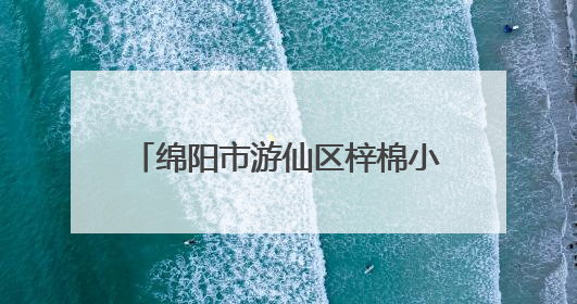 绵阳市游仙区梓棉小学开展小学语文“富乐课堂”教研活动