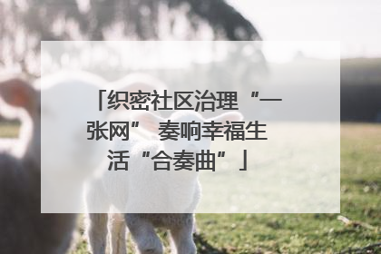 织密社区治理“一张网” 奏响幸福生活“合奏曲”
