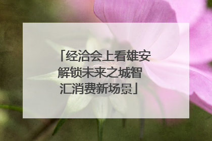 经洽会上看雄安 解锁未来之城智汇消费新场景