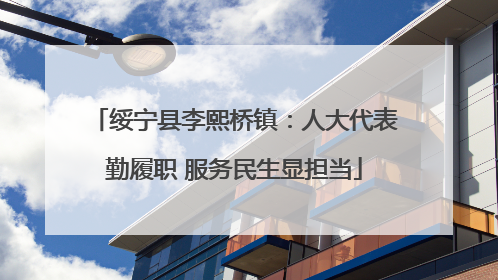 绥宁县李熙桥镇：人大代表勤履职 服务民生显担当