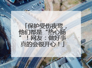 保护受伤夜鹭，他们都是“热心肠”！网友：做好事真的会很开心！