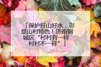 保护好山好水，彰显山村特色！济南钢城区“村村有一样 村村不一样”