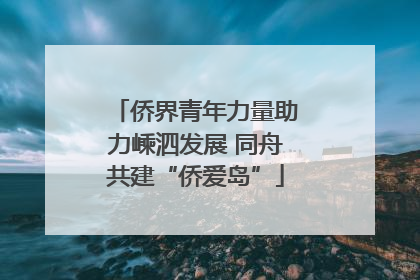 侨界青年力量助力嵊泗发展 同舟共建“侨爱岛”