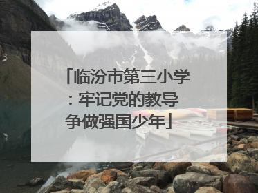 临汾市第三小学：牢记党的教导 争做强国少年