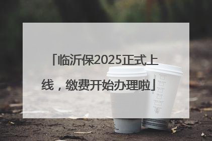 临沂保2025正式上线，缴费开始办理啦