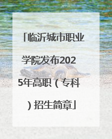 临沂城市职业学院发布2025年高职（专科）招生简章