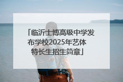 临沂士博高级中学发布学校2025年艺体特长生招生简章