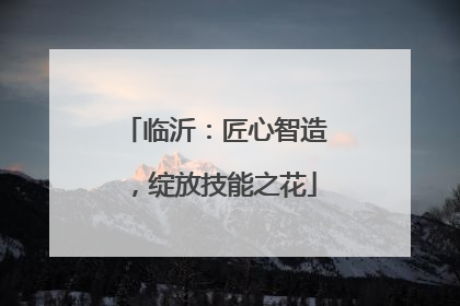 临沂：匠心智造，绽放技能之花