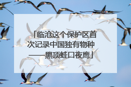 临沧这个保护区首次记录中国独有物种——黑顶蛙口夜鹰