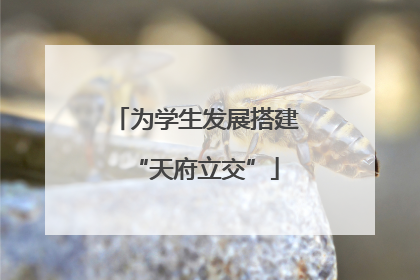 为学生发展搭建“天府立交”