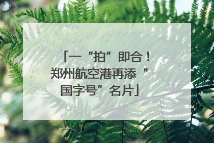 一“拍”即合！郑州航空港再添“国字号”名片