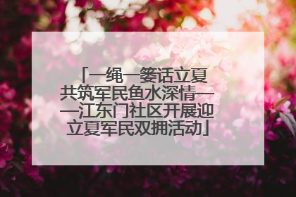 一绳一篓话立夏 共筑军民鱼水深情——江东门社区开展迎立夏军民双拥活动