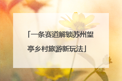 一条赛道解锁苏州望亭乡村旅游新玩法