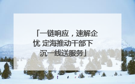 一链响应，速解企忧 定海推动干部下沉一线送服务