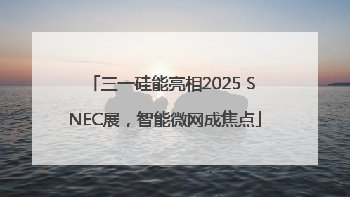 三一硅能亮相2025 SNEC展，智能微网成焦点