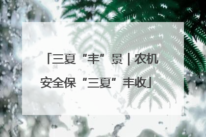 三夏“丰”景｜农机安全保“三夏”丰收