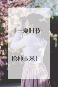 三夏时节·抢种玉米