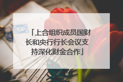 上合组织成员国财长和央行行长会议支持深化财金合作