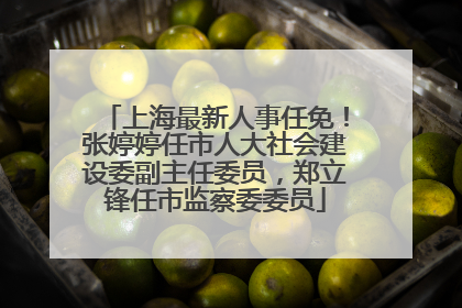 上海最新人事任免！张婷婷任市人大社会建设委副主任委员，郑立锋任市监察委委员