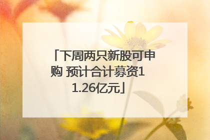 下周两只新股可申购 预计合计募资11.26亿元